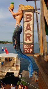 FB_IMG_1582226058406