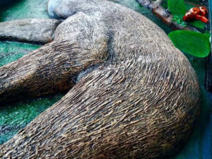 FB_IMG_1582227040853