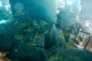 Artificial reef Carlos Pueyo Aquabitat 40