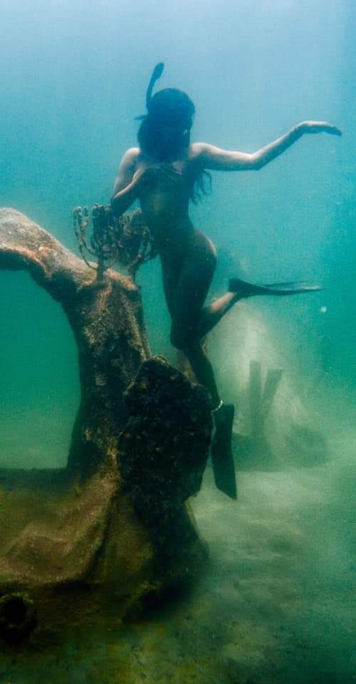 Artificial reef Carlos Pueyo Aquabitat 46