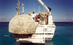 Underwater sculptures Carlos Pueyo Aquabitat 35