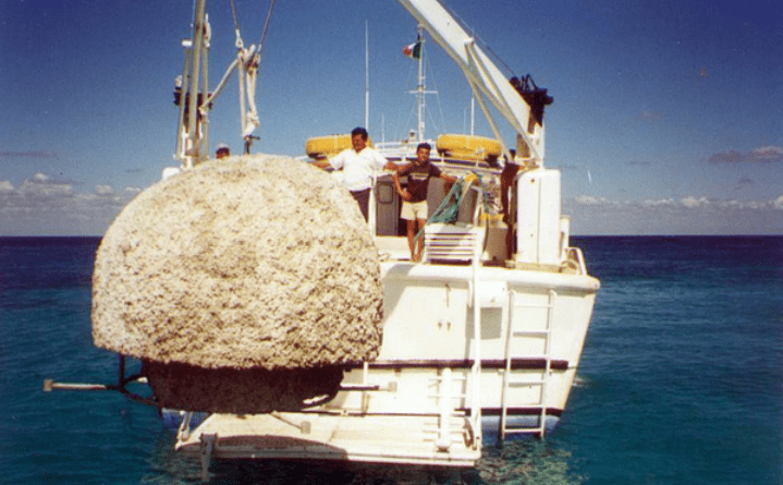 Underwater sculptures Carlos Pueyo Aquabitat 35