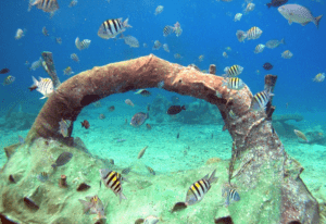 Underwater sculptures Carlos Pueyo Aquabitat 39