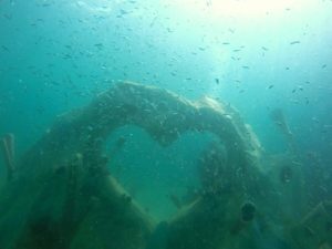 Artificial reef Carlos Pueyo Aquabitat 9