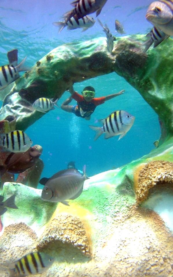 Underwater art Carlos Pueyo Aquabitat 12