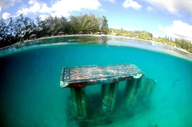 Underwater art Carlos Pueyo Aquabitat 19