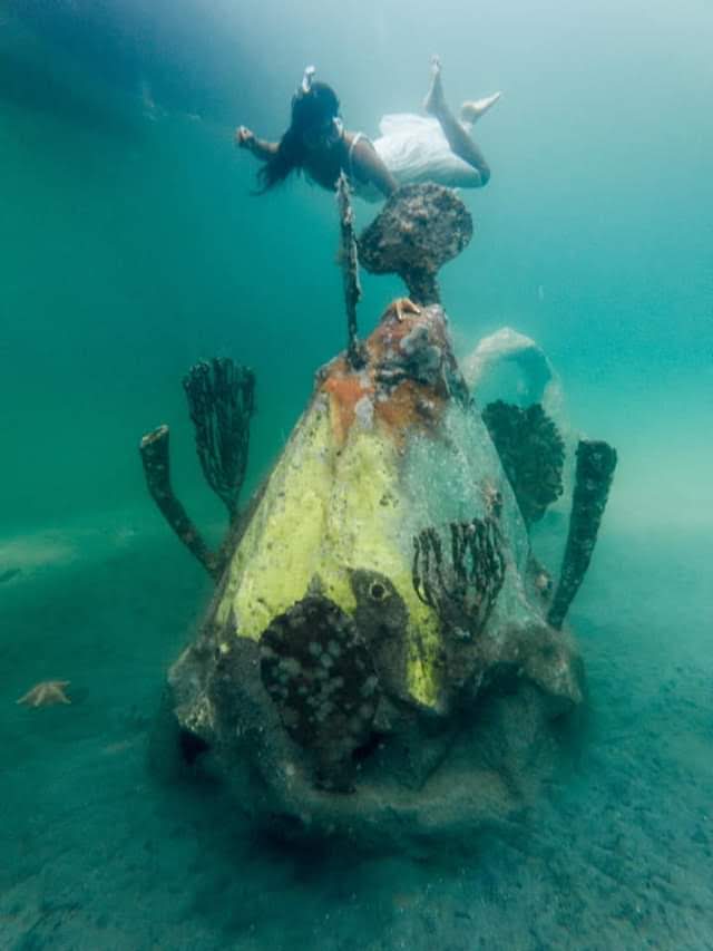 Artificial reef Carlos Pueyo Aquabitat 27